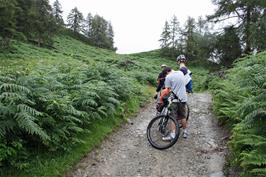 Joining the Cumbria Way just below Tarn Hows
